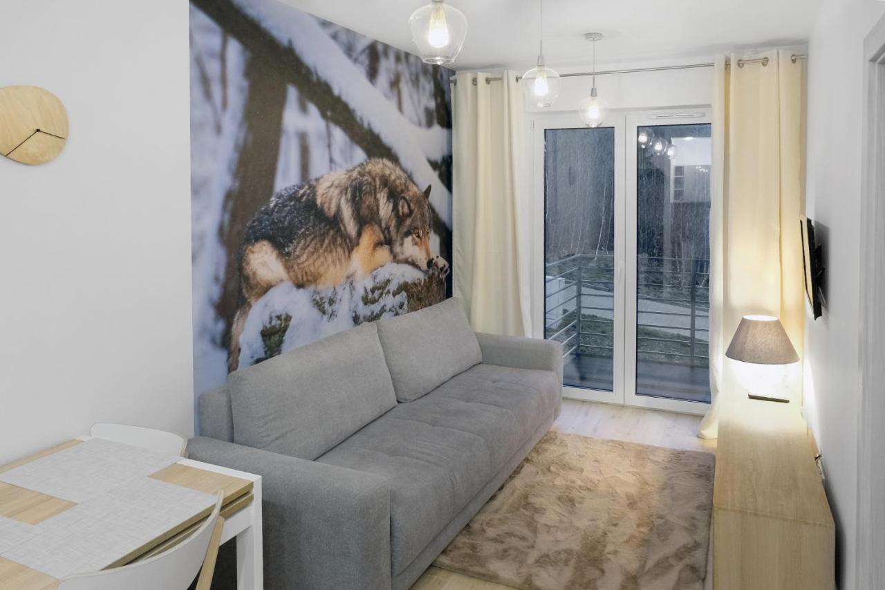 Apartament Szary Wilk Świeradów-Zdrój Buitenkant foto