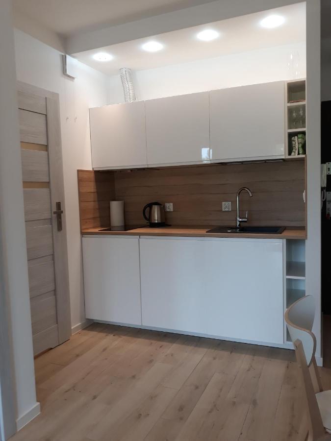 Apartament Szary Wilk Świeradów-Zdrój Buitenkant foto