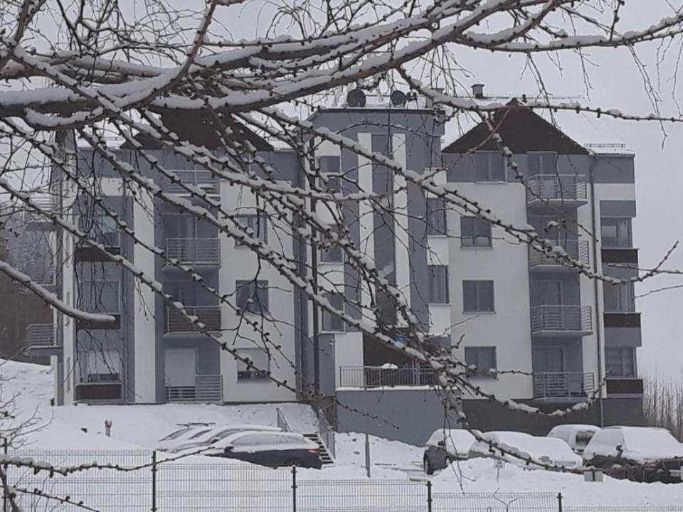 Apartament Szary Wilk Świeradów-Zdrój Buitenkant foto